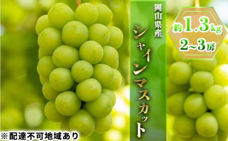 【ふるさと納税】ぶどう 2025年 先行予約 シャイン マスカット 約1.3kg 2～3房 ブドウ 葡萄 岡山県産 国産 フルーツ 果物 ギフト 果物類 　お届け：2025年8月下旬～2025年9月下旬