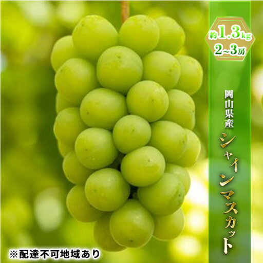 【ふるさと納税】ぶどう 2025年 先行予約 シャイン マスカット 約1.3kg 2~3房 ブドウ 葡萄 岡山県産 国産 フルーツ 果物 ギフト 果物類 お届け:2025年8月下旬~2025年9月下旬 【ふるさと納税】ぶどう 2025年 先行予約 シャイン マスカット 約1.3kg 2~3房 ブドウ 葡萄 岡山県産 国産 フルーツ 果物 ギフト 果物類 お届け:2025年8月下旬~2025年9月下旬