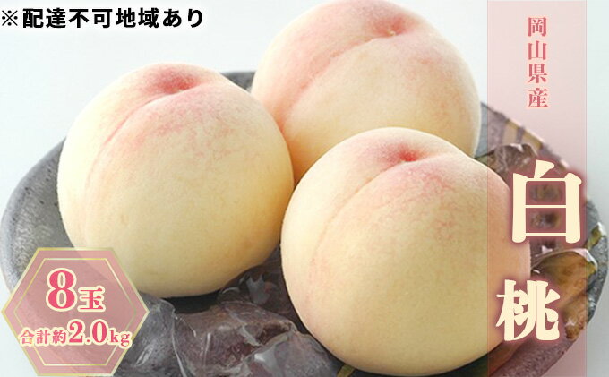 【ふるさと納税】桃 2025年 先行予約 白桃 8玉 合計約2.0kg もも モモ 岡山県産 国産 フルーツ 果物 ギフト 果肉 　お届け：2025年7月上旬～2025年7月下旬