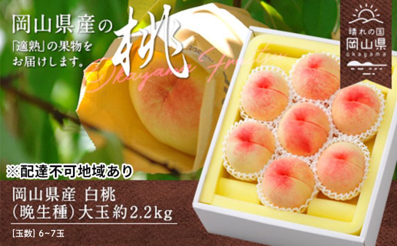 【ふるさと納税】桃 2025年 先行予約 白桃 晩生種 大玉 約2.2kg 6～7玉 もも モモ 岡山県産 国産 フルーツ 果物 ギフト 果肉 　お届け：2025年8月上旬～2025年9月中旬