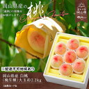 【ふるさと納税】桃 2026年 先行予約 白桃 晩生種 大玉 約2.2kg 6~7玉 もも モモ 岡山県産 国産 フルーツ 果物 ギフト お届け:2026年8月上旬~2026年9月中旬
