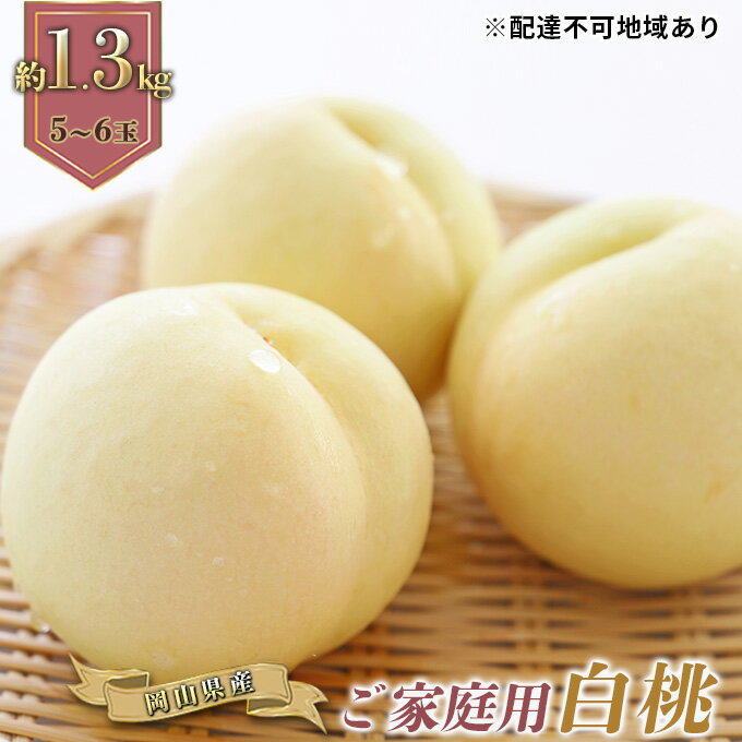 【ふるさと納税】桃 先行予約 ご家庭用 岡山 白桃 早生種 約1.3kg （5〜6玉） 2023年　【 もも モモ フルーツ 果物 果肉 岡山県産 】　お届け：2023年6月下旬〜2023年7月中旬のサムネイル