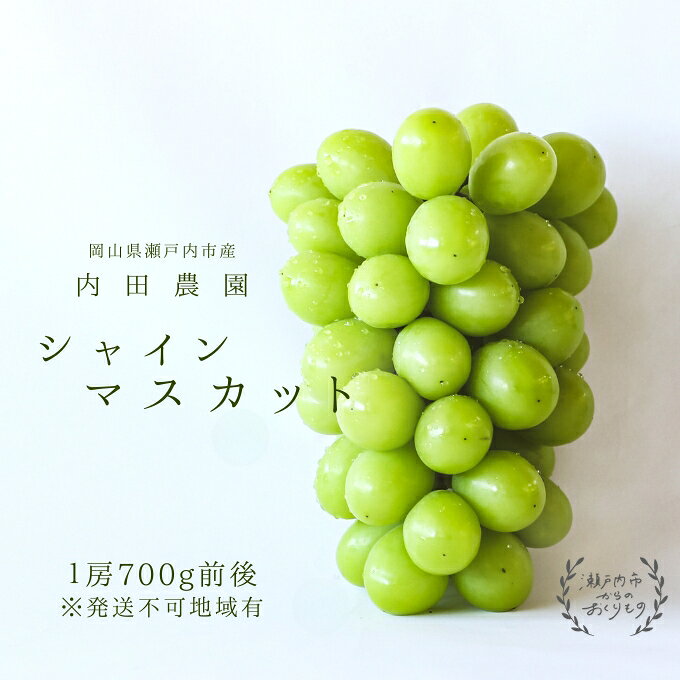 【ふるさと納税】シャインマスカット1房（700g前後）内田農園 岡山県 瀬戸内市 邑久町産 葡萄 ぶどう 2026年【配達不可：北海道・沖縄・離島】 果物類 ブドウ フルーツ シャインマスカット ギフト 人気 品種 お届け：2026年7月下旬～2026年9月下旬 f332127-setouchi-10000462 岡山県瀬戸内市 サンプル画像2