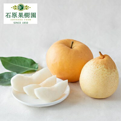 【ふるさと納税】梨 2025年 先行予約 あたご梨・鴨梨(ヤーリー)詰合せ 合計約4kg あたご2~3玉 鴨梨3~6玉 贈答箱 ナシ なし 岡山県産 国産 フルーツ 果物 ギフト 石原果樹園 お届け:2025年11月15日~2025年12月20日