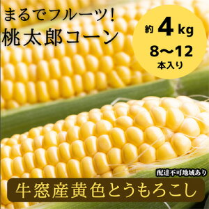 【ふるさと納税】 ［2023年先行予約］ まるでフルーツ！最高糖度25度超え 生で甘い、茹でて美味い！牛窓産 黄色 とうもろこし 「桃太郎コーン」約4kg（8〜12本入り）　【 野菜 】　お届け：2023年6月中旬〜2023年9月下旬