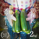 21位! 口コミ数「0件」評価「0」瀬戸内 牛窓産 ズッキーニ 約2kg（12本前後）　【野菜 岡山県産】　お届け：2024年4月上旬～2024年6月下旬