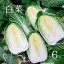 【ふるさと納税】瀬戸内 牛窓産 白菜 約15kg(5〜6玉) 野菜 はくさい 【野菜 白菜 約15kg】 お届け:2023年12月中旬〜2024年3月下旬 ※年末年始の出荷対応はしていません。 7,500円