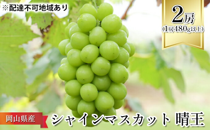 【ふるさと納税】ぶどう 2026年 先行予約 シャイン マスカット 晴王 2房 （1房480g以上） 化粧箱入り マスカット ブドウ 葡萄 岡山県産 国産 フルーツ 果物 ギフト はれおう 　お届け：2026年8月下旬～2026年10月中旬