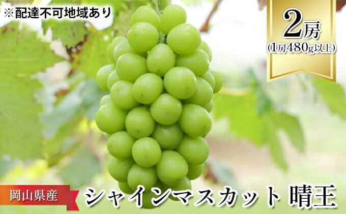 【ふるさと納税】ぶどう 2024年 先行予約 シャイン マスカット 晴王 2房 （1房480g以上） 化粧箱入り マスカット ブドウ 葡萄 岡山県産 国産 フルーツ 果物 ギフト　【 マスカット はれおう 化粧箱 岡山県産 】　お届け：2024年8月下旬～2024年10月中旬