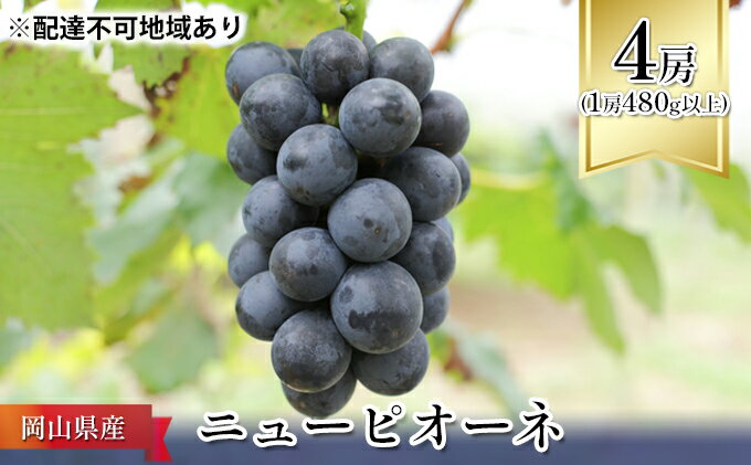 【ふるさと納税】ぶどう 2024年 先行予約 ニュー ピオーネ 4房（1房480g以上） ブドウ 葡萄 岡山県産 国産 フルーツ 果物 ギフト　【果物 ぶどう フルーツ ピオーネ ニューピオーネ 4房】　お届け：2024年8月上旬～2024年9月下旬