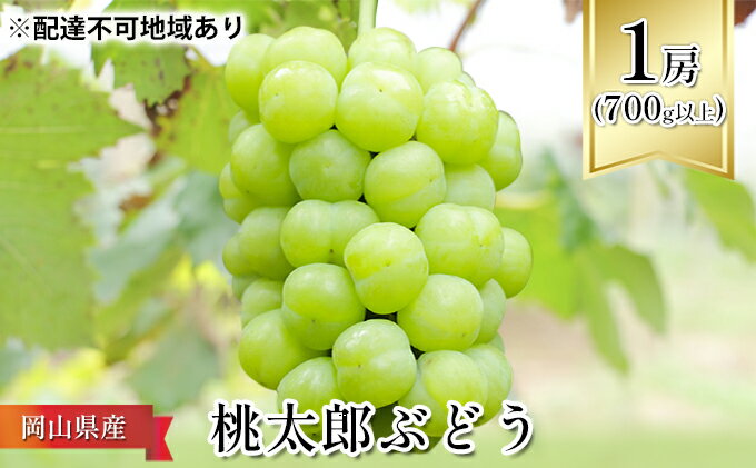 【ふるさと納税】ぶどう 2025年 先行予約 桃太郎 ぶどう 1房（700g以上） ブドウ 葡萄 岡山県産 国産 フルーツ 果物 ギフト 化粧箱 贈答品 　お届け：2025年7月中旬～2025年8月下旬