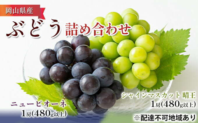 7月下旬より9月まで発送！数に限りがあります！【予約販売】糖度14程度桃とネクタリンの美味しさいっぱい！長野産　ワッサークイーン　　約2kg　桃箱入り