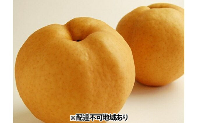 【ふるさと納税】梨 早期受付 岡山 の あたご 梨 2～3玉（2kg以上） 合計2kg以上 なし ナシ 岡山県産 国産 フルーツ 果物 ギフト桃茂実苑 あたご梨 糖度12.5度以上 2キロ 　お届け：2025年11月中旬～2025年12月下旬