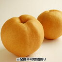 【ふるさと納税】梨 早期受付 岡山 の あたご 梨 2~3玉(2kg以上) 合計2kg以上 なし ナシ 岡山県産 国産 フルーツ 果物 ギフト桃茂実苑 あたご梨 糖度12.5度以上 2キロ お届け:2025年12月中旬~2025年12月下旬