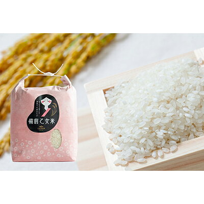 米 令和7年産 石原果樹園の備前乙女米 白米 5kg×1袋 ※11月上旬〜順次発送予定 お米 精米 白米 ライス 乳酸菌栽培 岡山県 おにぎり お弁当 お届け:11月上旬〜順次発送予定