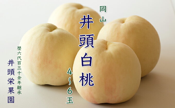 【ふるさと納税】桃 2025年 先行予約 井頭 白桃 4～6玉入り 1.5kg規格箱 もも モモ 岡山県産 国産 フルーツ 果物 ギフト 井頭栄果園 　お届け：2025年7月上旬～2025年8月中旬