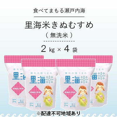 【ふるさと納税】無洗米 里海米 きぬむすめ 8kg（2kg×