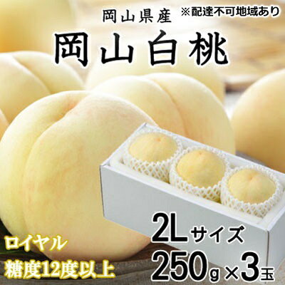 【ふるさと納税】桃 2025年 先行予約 岡山 白桃 ロイヤル 3玉×約250g(2Lサイズ)JAおかやまのもも(早生種・中生種) もも モモ 岡山県産 国産 フルーツ 果物 ギフト お届け:2025年7月上旬~2025年8月中旬