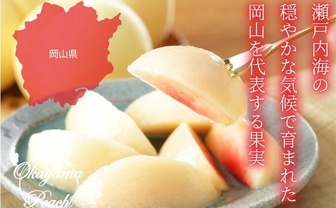 【ふるさと納税】桃 2026年 先行予約 岡山 白桃 ロイヤル 3玉×約200g（Lサイズ）JAおかやまのもも（早生種・中生種）桃 もも モモ 白桃 岡山白桃 岡山県産 国産 フルーツ 果物 ロイヤル 甘い ジューシー 果汁 旬 夏 産地直送 ギフト お届け：2026年7月上旬〜2026年8月中旬
