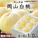 27位! 口コミ数「3件」評価「3.33」桃 2024年 先行予約 岡山 白桃 エース 4～6玉 約1kg JAおかやまのもも（早生種・中生種） もも モモ 岡山県産 国産 フルーツ･･･ 