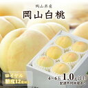 【ふるさと納税】桃 2026年 先行予約 岡山 白桃 ロイヤル 約1kg 4~6玉 JAおかやまのもも(早生種・中生種) もも モモ 岡山県産 国産 フルーツ 果物 ギフト お届け:2026年7月上旬~2026年8月中旬