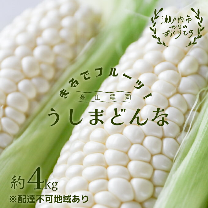 5位! 口コミ数「0件」評価「0」 ［2024年先行予約］ まるでフルーツ！ 生で甘い、茹でて美味い！牛窓産 白色 とうもろこし 「うしまどんな」約4kg（8～12本入り）　･･･ 