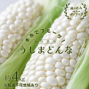 7位! 口コミ数「0件」評価「0」 ［2024年先行予約］ まるでフルーツ！ 生で甘い、茹でて美味い！牛窓産 白色 とうもろこし 「うしまどんな」約4kg（8～12本入り）　･･･ 