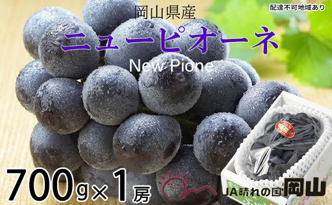 【ふるさと納税】ぶどう 2025年 先行予約 ニュー ピオーネ 約700g×1房 6月下旬～7月下旬発送 ブドウ 葡萄 岡山県産 国産 フルーツ 果物 ギフト 果物類 種なし デザート 食後 おやつ 産地直送 　お届け：2025年6月下旬～2025年7月下旬