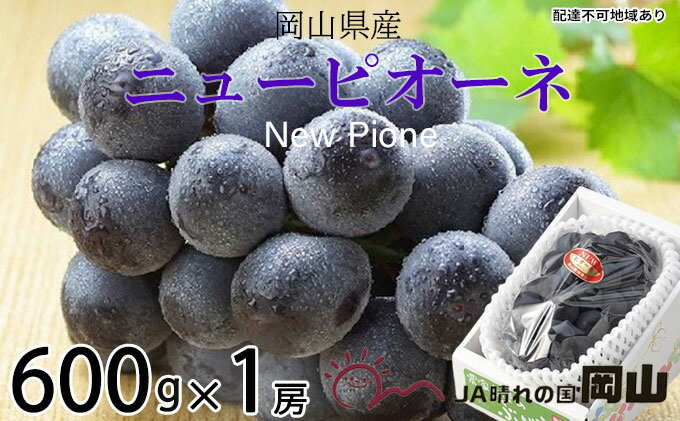 【ふるさと納税】ぶどう 2025年 先行予約 ニュー ピオーネ 約600g×1房 6月下旬～7月下旬発送 ブドウ 葡萄 岡山県産 国産 フルーツ 果物 ギフト 果物類 種なし デザート 食後 おやつ 産地直送 　お届け：2025年6月下旬～2025年7月下旬