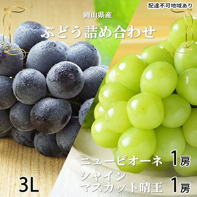 【ふるさと納税】ぶどう 2024年 先行予約 ニュー ピオーネ 1房 約600g シャイン マスカット 晴王 1房 約600g 詰め合わせ 6月下旬～7月中旬発送 岡山県産 国産 フルーツ 果物 ギフト　【 果物類 種なし フルーツ 】　お届け：2024年6月下旬～2024年7月中旬のサムネイル