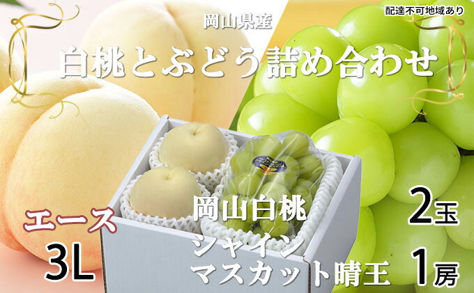 【ふるさと納税】岡山白桃 エース 2玉×約300g（3Lサイズ、早生種・中生種）シャインマスカット 晴王 1房約600g 詰合せ 岡山県産　【 果物類 ぶどう ブドウ 種無し もも モモ フルーツ デザート 食後 産地直送 】　お届け：2026年7月上旬～2026年8月20日