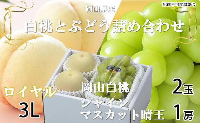 【ふるさと納税】岡山白桃 ロイヤル 2玉×約300g（3Lサイズ、早生種・中生種）シャインマスカット 晴王 1房約600g 詰合せ 岡山県産　【 果物類 ぶどう ブドウ 種無し もも モモ フルーツ デザート 食後 産地直送 】　お届け：2026年7月上旬～2026年8月20日