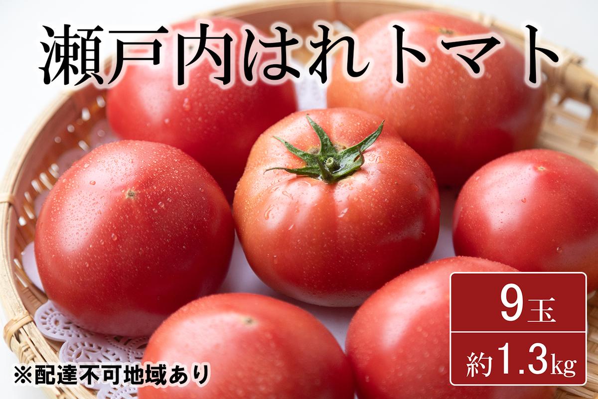 【ふるさと納税】期間限定【産地直送】瀬戸内はれトマト（桃太郎トマト）9玉 約1.3kg 野菜 夏野菜 リコピン 岡山県産 サラダ 料理 緑黄色野菜 　お届け：2026年6月1日頃〜2026年7月31日頃