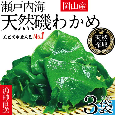 36位! 口コミ数「0件」評価「0」風味豊かな 瀬戸内 わかめ 22g×3袋 エビス水産【岡山 瀬戸内海 天然 カットわかめ】　【 常備菜 無添加 無着色 味噌汁 炊き込み 】