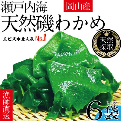 風味豊かな 瀬戸内 わかめ 22g×6袋 エビス水産【岡山 瀬戸内海 天然 カットわかめ】　【 常備菜 無添加 無着色 味噌汁 炊き込み 】