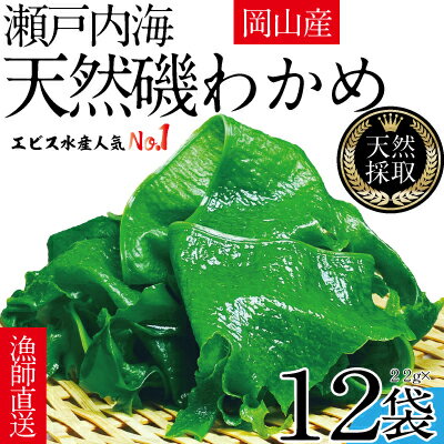 風味豊かな 瀬戸内 わかめ 22g×12袋 エビス水産【岡山 瀬戸内海 天然 カットわかめ】　【 常備菜 無添加 無着色 味噌汁 炊き込み 】