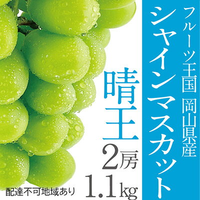 【ふるさと納税】ぶどう 2024年 先行予約 シャイン マスカット 晴王 2房（合計約1.1kg） 晴れの国 おかやま 岡山県産 フルーツ王国 果物王国　【 果物 ぶどう フルーツ 産地直送 】　お届け：2024年9月下旬～2024年10月下旬