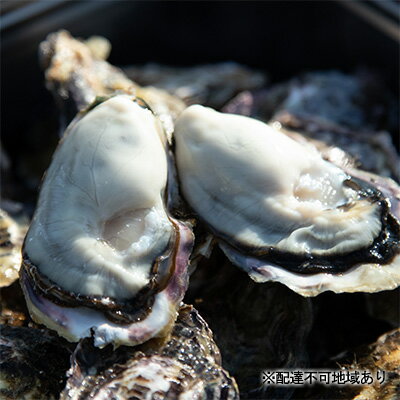 【ふるさと納税】牡蠣 約3kg（発泡スチロール梱包）瀬戸内海うしまど 一歩牡蠣　【 生牡蠣 海の幸 海鮮 加熱調理用 漁師直送 殻付き 濃厚 蒸し牡蠣 牡蠣フライ 牡蠣ご飯 】　お届け：2023年1月下旬〜2023年3月下旬のサムネイル