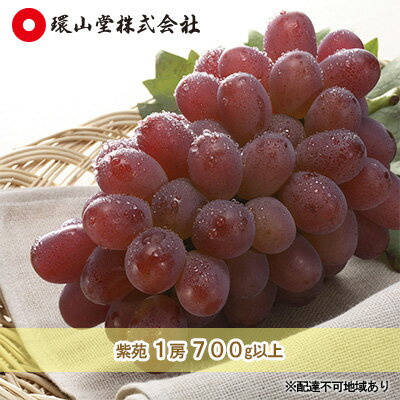 【ふるさと納税】ぶどう 2025年先行予約 冬ぶどう 紫苑 1房 700g以上 岡山 環山堂 果物 フルーツ ワインレッド 上品 大粒 柔らかい 種なし 皮離れ 食べやすい 贈り物 ギフト お届け:2025年10月下旬~2025年11月下旬