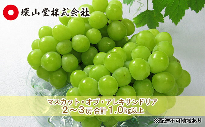 【ふるさと納税】ぶどう 2025年 先行予約 マスカット・オブ・アレキサンドリア 2～3房 合計1.0kg以上 マスカット ブドウ 葡萄 岡山県産 国産 フルーツ 果物 ギフト 環山堂 女王 美しい 香り 気品 贈り物 芳醇 　お届け：2025年8月下旬～2025年9月下旬