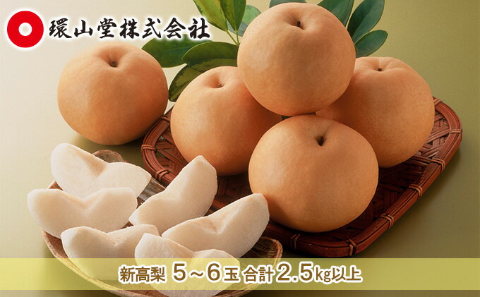 【ふるさと納税】梨 2026年 先行予約 新高 梨 5～6玉 合計2.5kg以上 なし ナシ 岡山県産 国産 フルーツ 果物 ギフト 環山堂 大きさ 形 おいしさ 王様 みずみずしく 上品 風味 シャリシャリ 甘い 　お届け：2026年10月上旬～2026年10月下旬