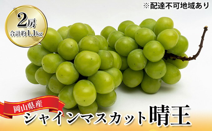 【ふるさと納税】ぶどう 2026年 先行予約 シャイン マスカット 晴王 2房 （合計約1.1kg） 化粧箱入り マスカット ブドウ 葡萄 岡山県産 国産 フルーツ 果物 ギフト 　お届け：2026年8月下旬～2026年10月下旬