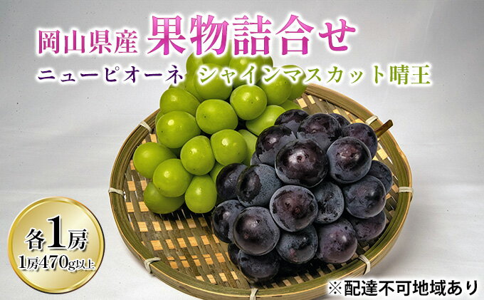 【ふるさと納税】ぶどう 2024年 先行予約 詰め合わせ ニュー ピオーネ 1房 (1房470g以上) シャイン マスカット 晴王 1房 (1房470g以上) 化粧箱入り 岡山県産 国産 フルーツ ギフト 　【果物 贈答品 セット】　お届け：2024年8月下旬～2024年10月上旬 2