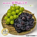 【ふるさと納税】ぶどう 2024年 先行予約 詰め合わせ ニュー ピオーネ 1房 (1房470g以上) シャイン マスカット 晴王 1房 (1房470g以上) 化粧箱入り 岡山県産 国産 フルーツ ギフト 　【果物 贈答品 セット】　お届け：2024年8月下旬～2024年10月上旬