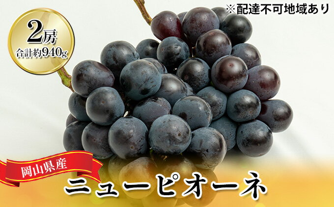 【ふるさと納税】ぶどう 2024年 先行予約 ニュー ピオーネ 2房（合計約940g）化粧箱入り ブドウ 葡萄 岡山県産 国産 フルーツ 果物 ギフト 　【 果物 ぶどう フルーツ 酸味 大粒 種なし 人気 高糖度 甘い 果汁 贈り物　】　お届け：2024年8月下旬～2024年10月上旬