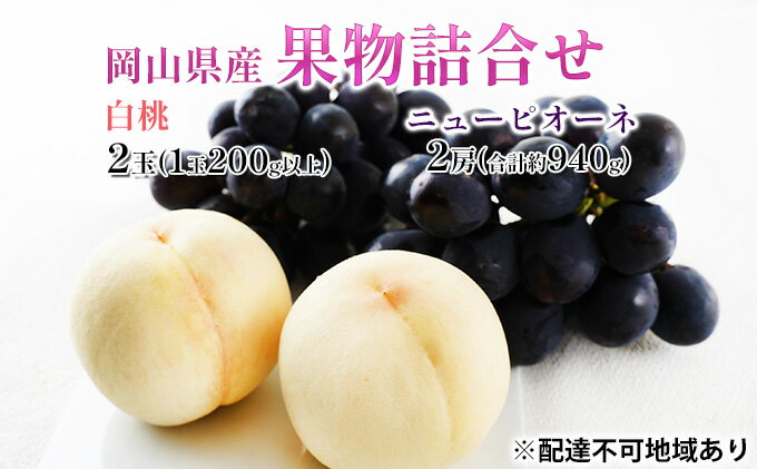 【ふるさと納税】桃 ぶどう 2026年 先行予約 果物詰合せ 白桃 2玉（1玉200g以上） ニュー ピオーネ 2房（合計約940g）化粧箱入り 岡山県産 国産 フルーツ 果物 ギフト 贈り物 セット 　お届け：2026年7月上旬～2026年8月上旬