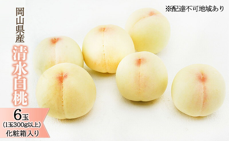 【ふるさと納税】桃 2026年 先行予約 清水 白桃 6玉 （1玉300g以上）化粧箱入り もも モモ 岡山県産 国産 フルーツ 果物 ギフト 最高級 贈答品 贈り物 　お届け：2026年7月中旬～2026年8月上旬