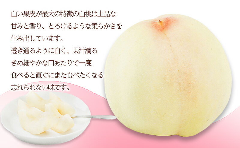 【ふるさと納税】桃 2025年 先行予約 岡山 の 白桃 8玉（合計1.7kg以上）化粧箱入り もも モモ 岡山県産 国産 フルーツ 果物 ギフト デザート 上品な甘み とろける 産地直送 　お届け：2025年7月上旬～2025年8月上旬