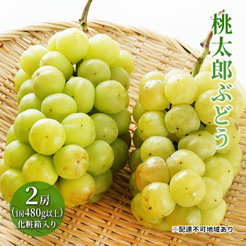 【ふるさと納税】ぶどう 2024年 先行予約 桃太郎 ぶどう 2房（1房480g以上）化粧箱入り ブドウ 葡萄 岡山県産 国産 フルーツ 果物 ギフト　【 果物 フルーツ 大粒 種なし 果汁たっぷり 酸味 甘さ バランス 】　お届け：2024年7月下旬～2024年9月下旬