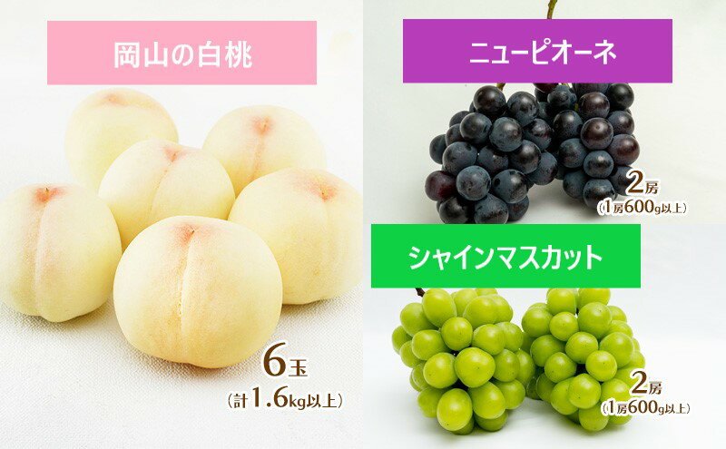 【ふるさと納税】フルーツ 定期便 2025年 先行予約 フルーツ王国 岡山 厳選 果物 （7月 9月 10月）3回コース 桃 ぶどう 岡山県産 国産 セット ギフト 旬の果物 白桃 ニューピオーネ シャインマスカット 高級ぶどう 　お届け：2025年7月上旬～2025年10月下旬